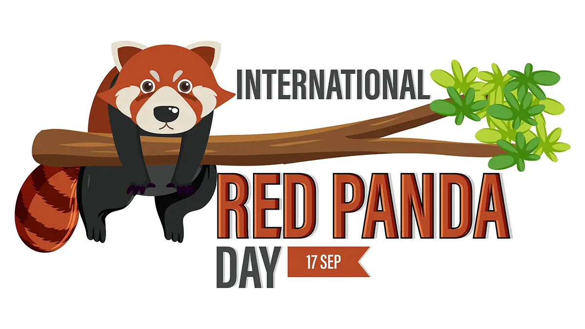 International Red Panda Day, International Red Panda Day 2024, international red panda day 2024 theme, Red Panda Day 2024,